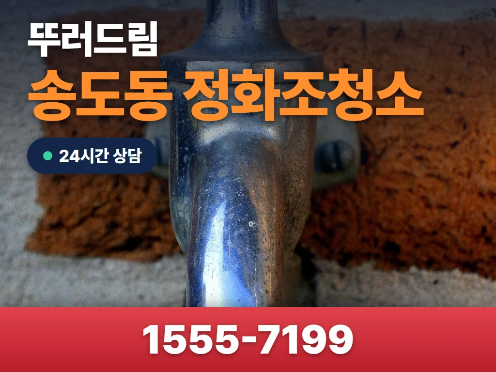 송도동 정화조청소 현장